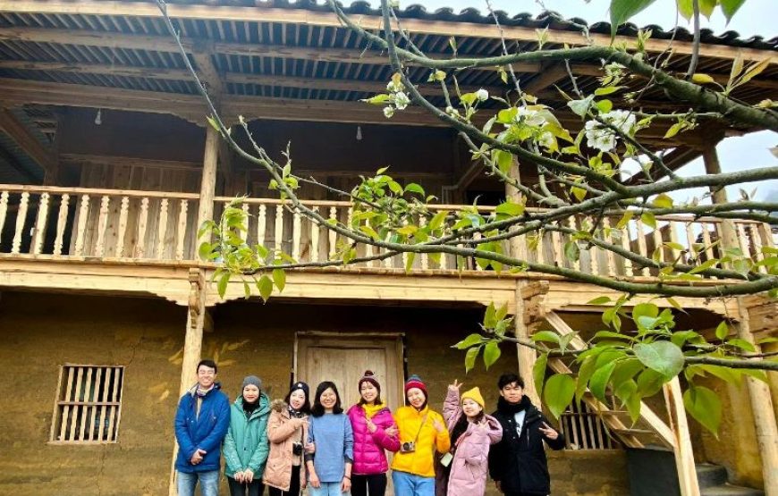 Lullaby Ha Giang Homestay