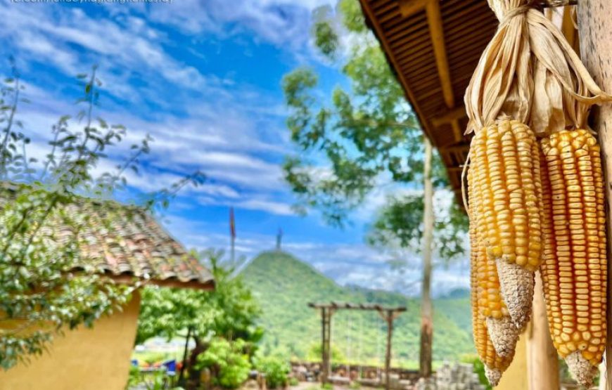 Lullaby Ha Giang Homestay