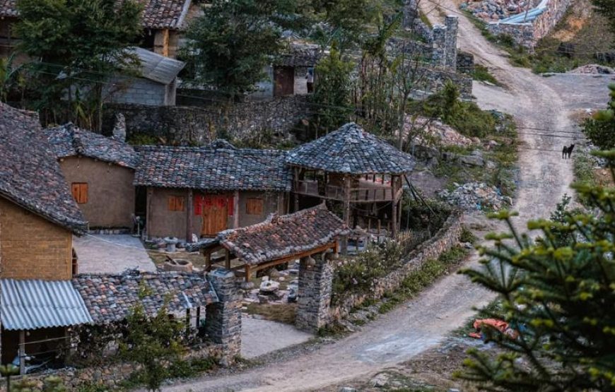 Long Cổ Trấn Homestay