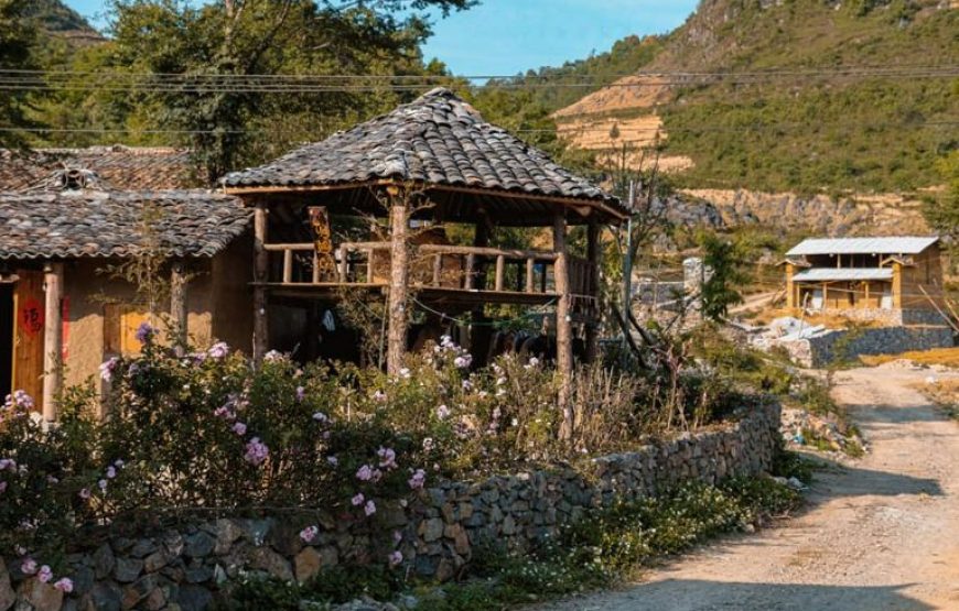 Long Cổ Trấn Homestay