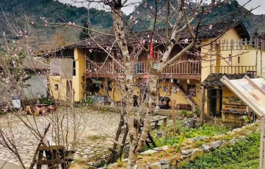 The Lover Lô Lô Chải